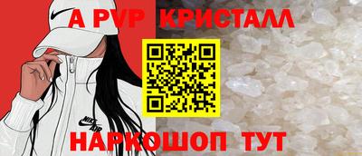 дмт Тара