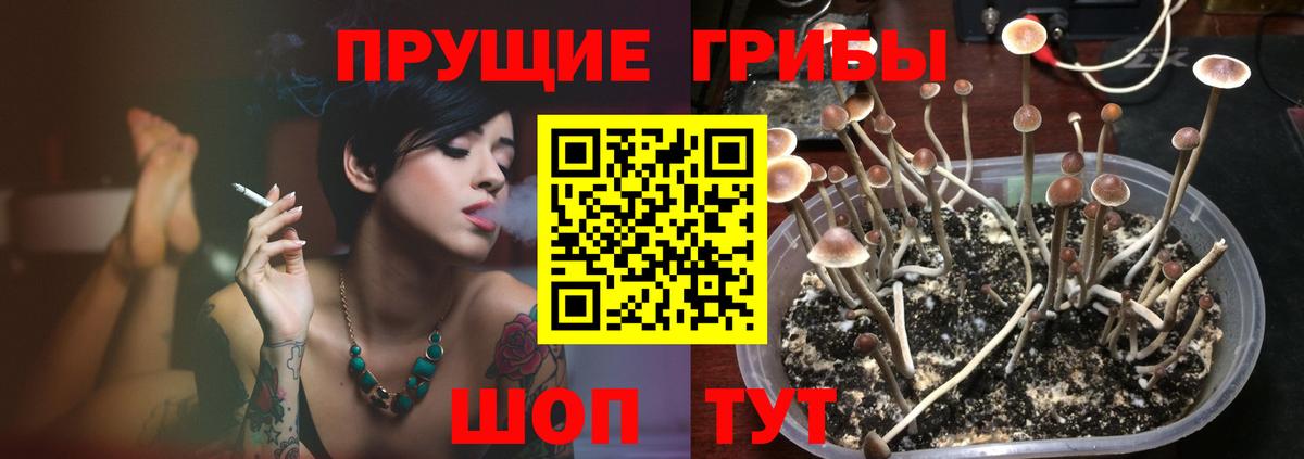 Галлюциногенные грибы Cubensis Новосибирск